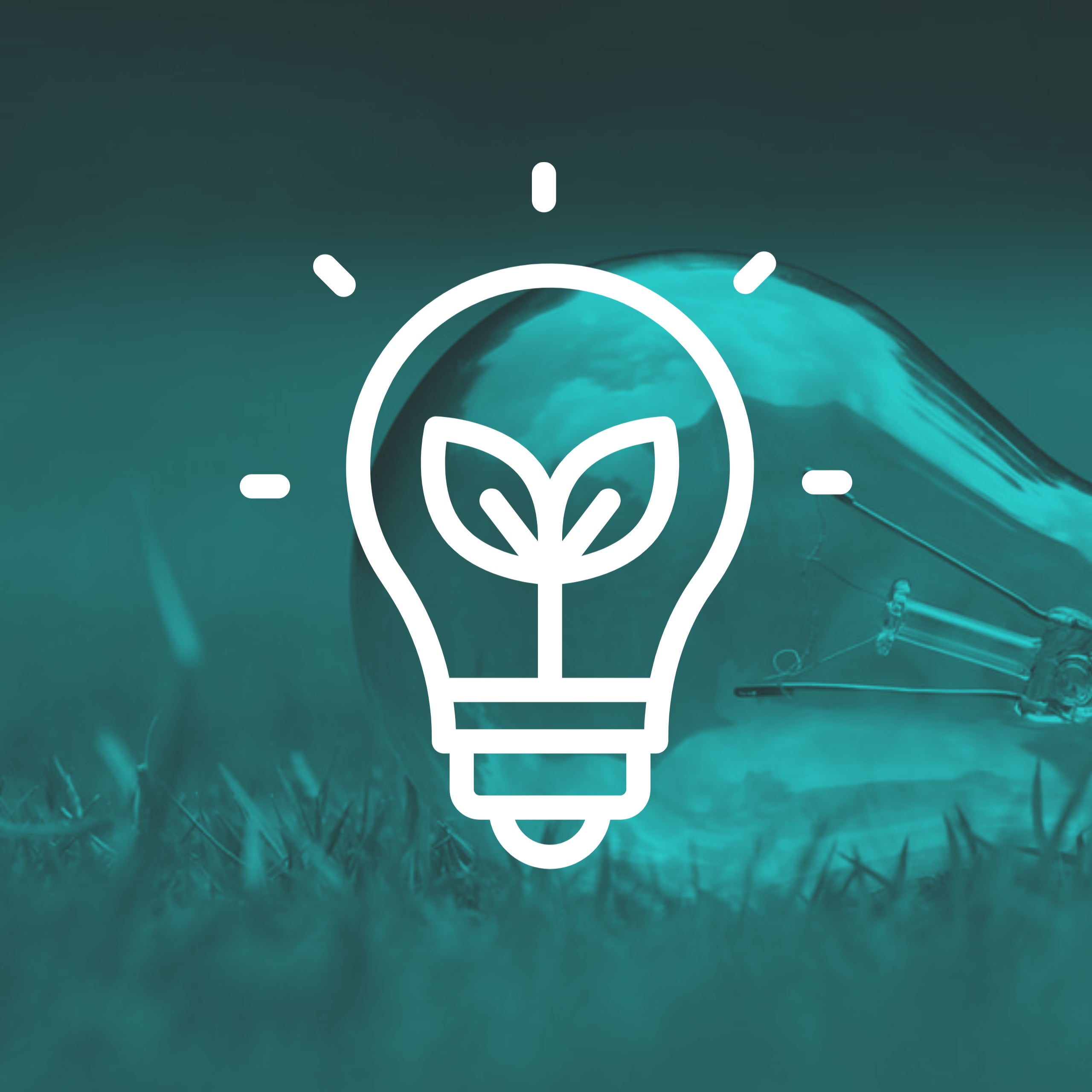 Energy Assistance Program CoosCurry Electric Cooperative